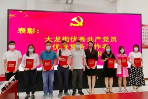 (中国)·顶奢体验集团党支部荣获先进党组织称号、陈文舒党支部书记荣获优秀党