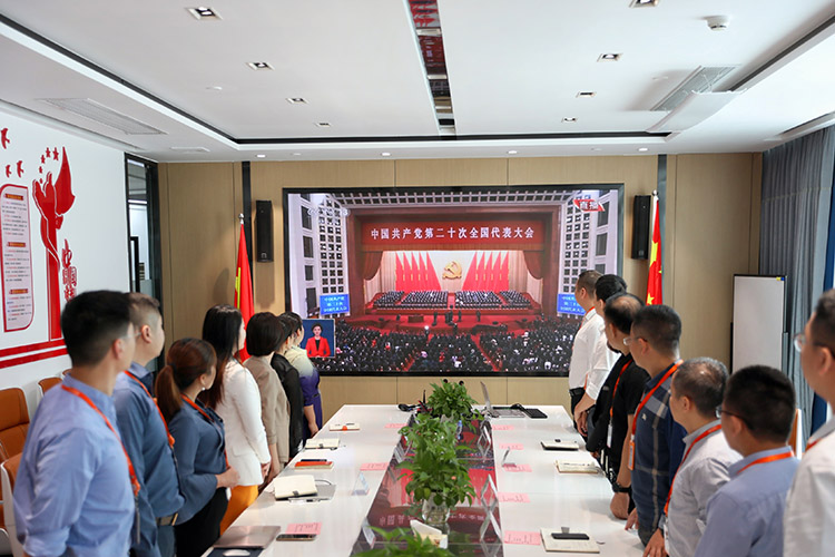 (中国)·顶奢体验党支部