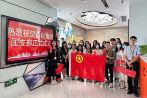 “团”聚青年力量 绽放青春芳华——共青团(中国)·顶奢体验集团团支部委员会