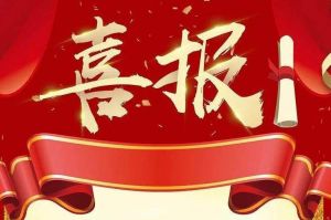 关于2022年度人力资源服务评选结果的通报，祝贺(中国)·顶奢体验集团