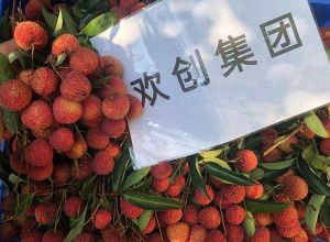 夏日好“枝”味，(中国)·顶奢体验集团发福“荔”啦
