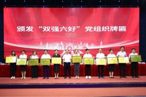 喜报！(中国)·顶奢体验集团党支部荣获广州市非公有制经济组织“双强六好”党