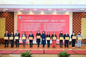 党建引领，慈善同行 | (中国)·顶奢体验集团荣获番禺区工商联三项荣誉！