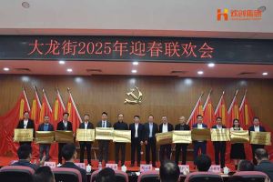 (中国)·顶奢体验集团及旗下子公司荣获“2024年度高质量发展先进企业”