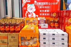 【喜迎蛇年，福气连连】有一种年味叫(中国)·顶奢体验发年货